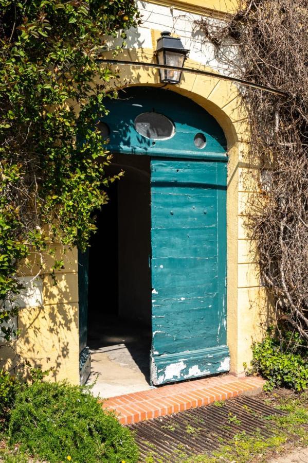 Le Studio Gab's - Coup de coeur déco tout confort Caluire-et-Cuire Extérieur photo